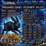 sdy jurn
